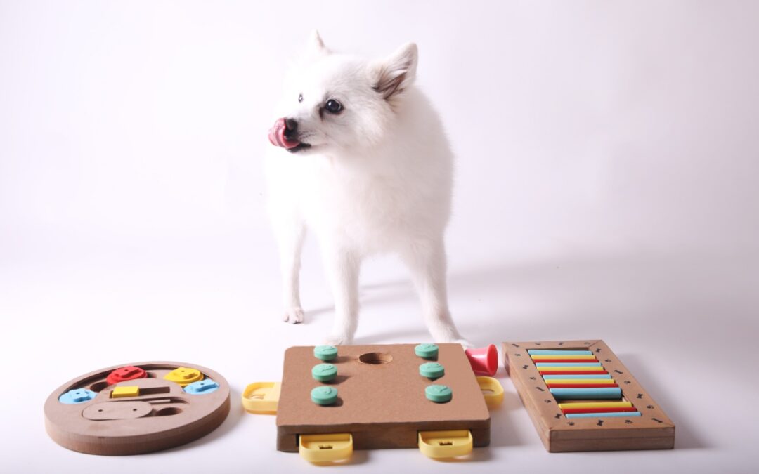 Fun New Puppy Games to Play: Engaging Activities for Your New Pup and Furry Pal